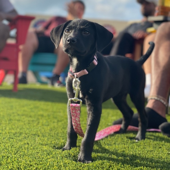 Get to know me! 🤠 - Picture 2 of 2